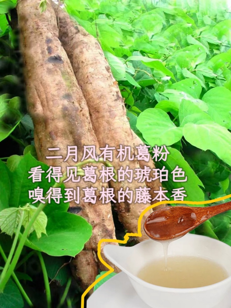 二月風(fēng)有機(jī)葛粉，看得見葛根的琥珀色，嗅得到葛根的藤本香_800.jpg
