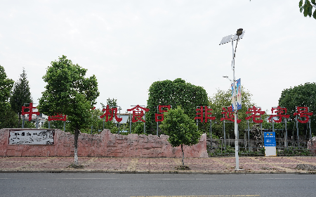 當(dāng)定制葛粉時(shí)，我們真正在選擇什么？