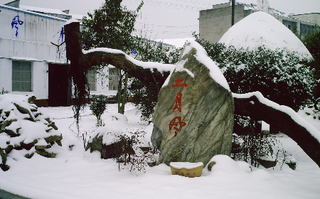 二月風(fēng)致老友：一碗葛根粉的牽掛，農(nóng)博會(huì)上的重逢之約二月風(fēng)盼老友：農(nóng)博會(huì)上，再續(xù)葛粉情緣