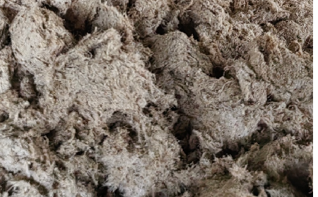 深入大洪山，只為一口純凈 -二月風(fēng)今冬野生葛根收購紀(jì)實(shí)